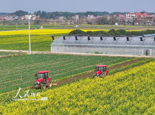 1024国产区,探索国产科技的魅力与未来