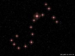 娱乐吃瓜酱星空图