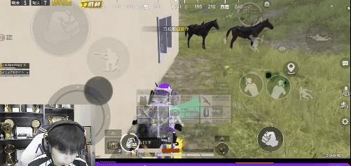 游戏娱乐吃瓜玩家是谁,吃瓜玩家背后的神秘面纱