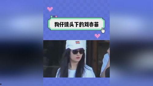 娱乐吃瓜语音,吃瓜群众的声音