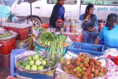 娱乐吃瓜酱柬埔寨骗局,娱乐吃瓜酱背后的真相