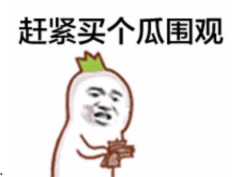 吃瓜娱乐圈的表情包,娱乐圈吃瓜群众表情包大盘点