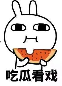 娱乐 吃瓜,吃瓜群众带你领略幕后风云